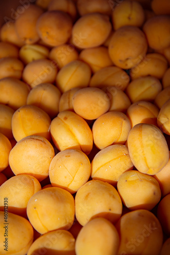 Ripe yellow apricots. Beautiful fruits on the counter.