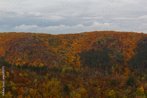 Autumn view of the mountain forest with bright multicolored foliage with large gray clouds. The forest in the mountains is shrouded in bright colors of autumn.