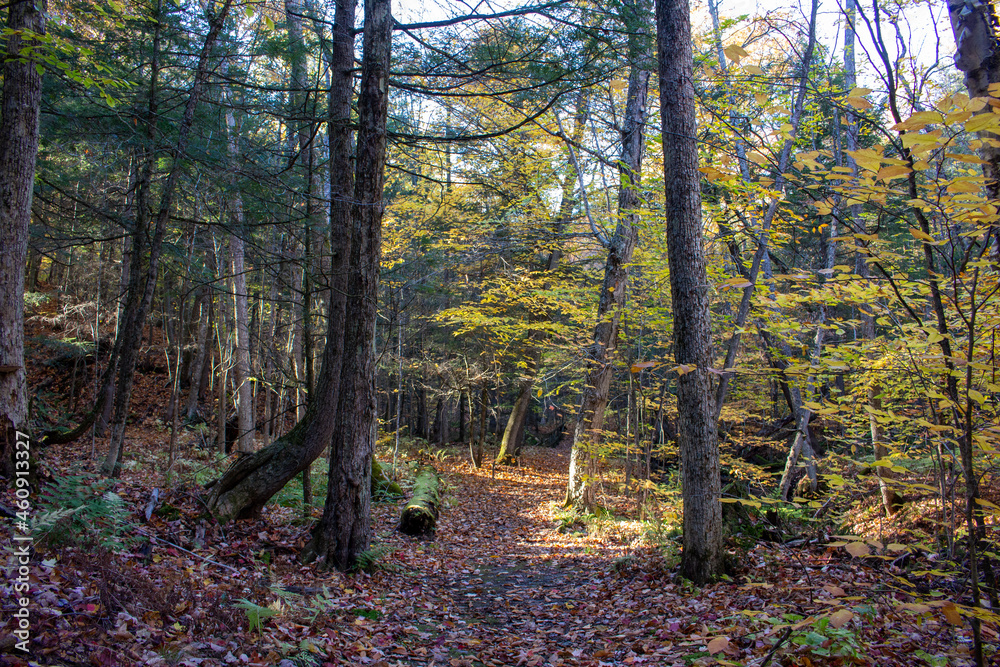 Obraz premium Montebello, Quebec, Canada in Fall
