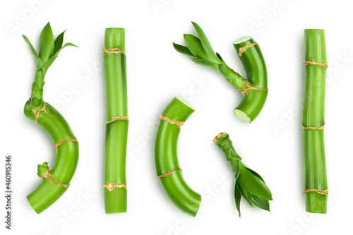 Green bamboo with leaves isolated on white background with clipping path and full depth of field. Top view. Flat lay