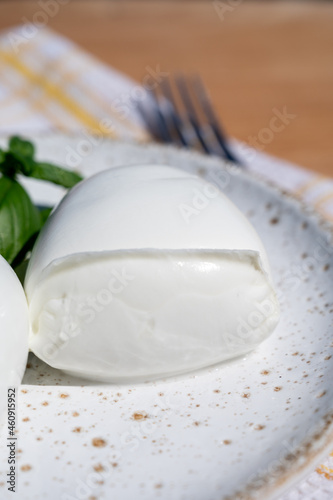 Cheese collection  white balls of Italian soft cheese mozzarella served with fresh tomatoes and basil