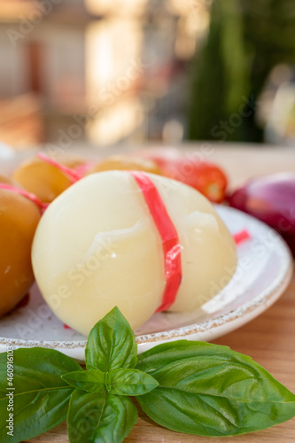 Cheese collection, variety of Italian cow milk cheese scamorza with Italian houses on background