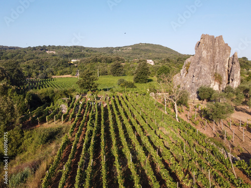 Aerial view on green vineyards in Campo Soriano mountains near Terracina, Lazio, wine making in Italy