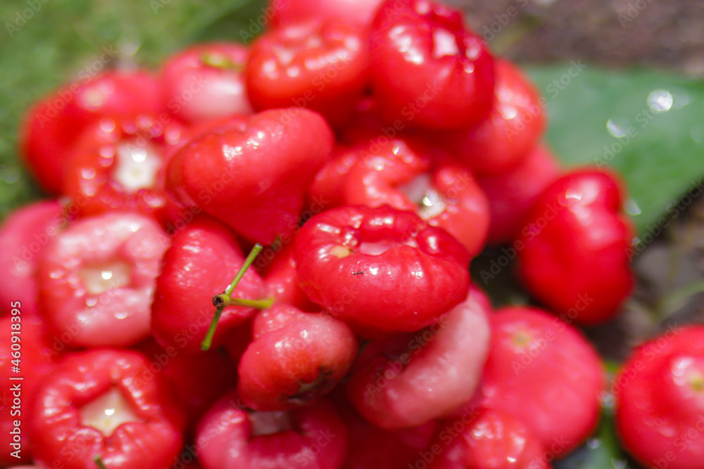 Fotka „Group of Fresh ripe red rose apple fruits are ready for sale