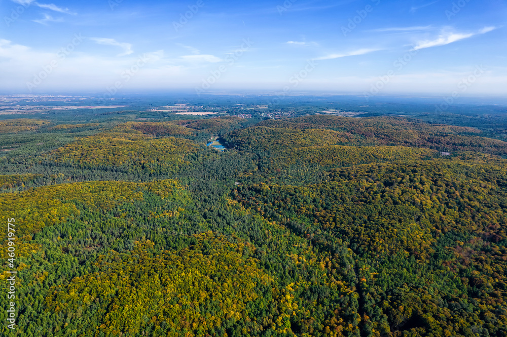 Autumn Polish forests.
