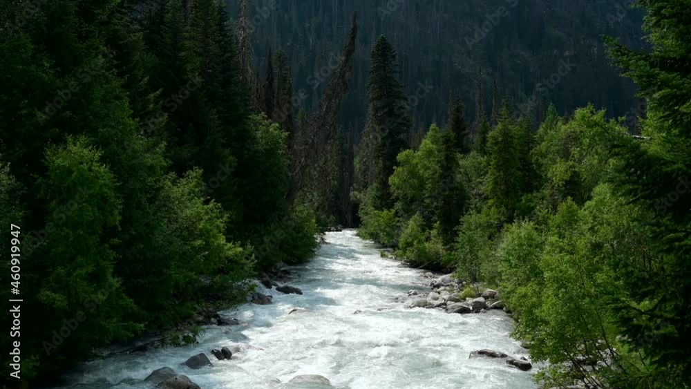 Landscape with river in forest Landscape with river in forest