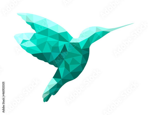 Vector low poly bird colibri