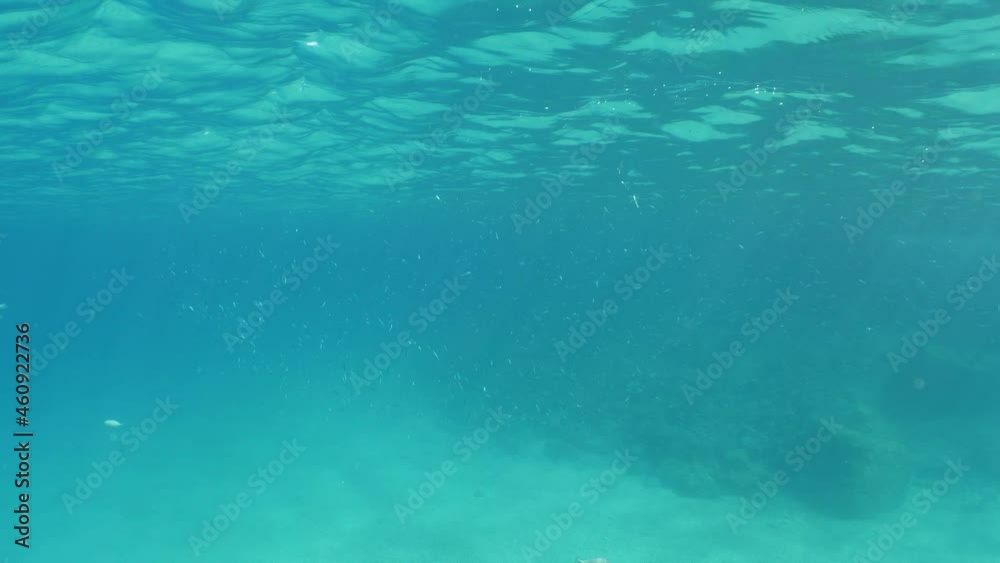 ocean surface sun ray and sun beam scenery underwater waves on surface of water slow ocean scenery ocean surface sun ray and sun beam scenery underwater waves on surface of water slow ocean scenery