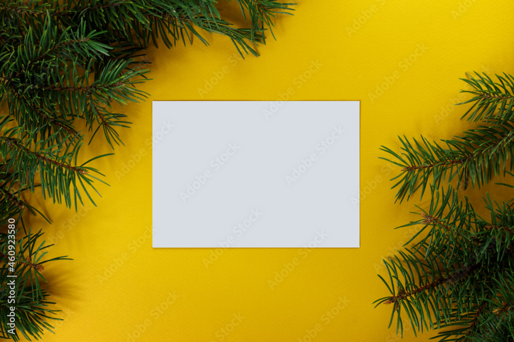 Spruce twigs on an isolated backdrop. Minimalist new year concept. Copy space. Top view. New Year frame or Christmas Mockup.