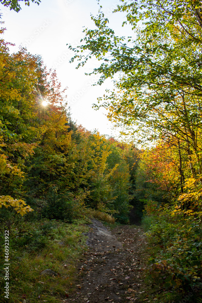 Obraz premium Parc des Montagnes Noires, QC, Canada