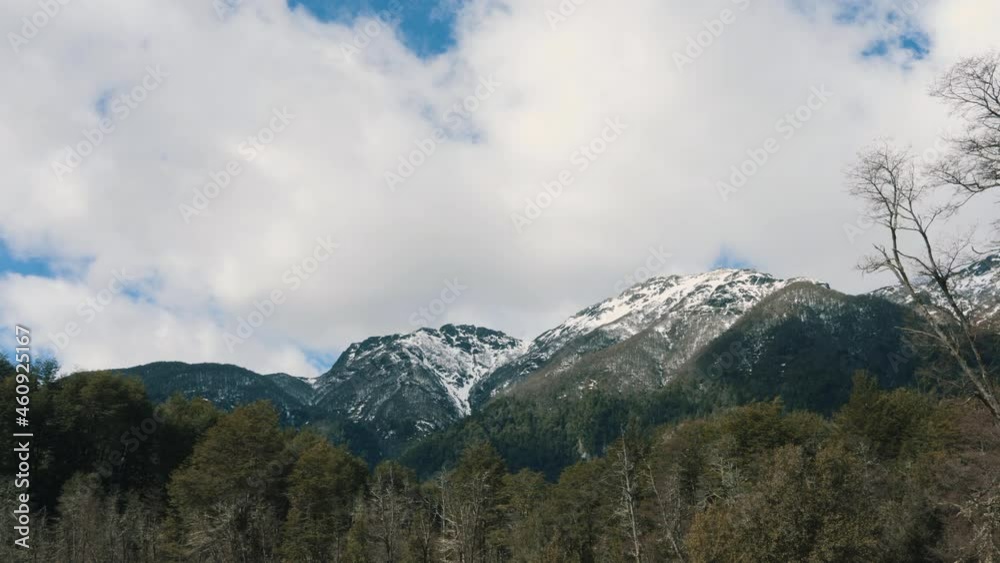 Snow-capped mountains with a cloudy sky and a forest of native Patagonian trees. Snow-capped mountains with a cloudy sky and a forest of native Patagonian trees.