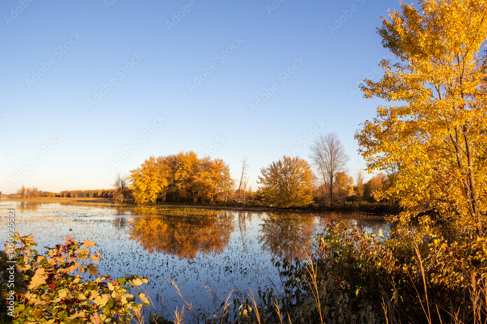Fototapeta premium Parc National de Plaisance, QC, Canada