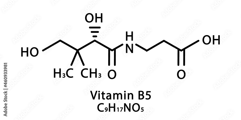 Vitamin B5 Pantothenic molecular structure. Vitamin B5 Pantothenic