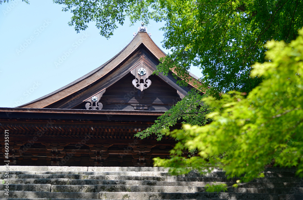 三井寺 新緑の金堂 滋賀県大津市 三井寺 新緑の金堂 滋賀県大津市