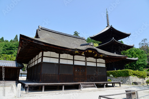 三井寺　潅頂堂と三重塔　滋賀県大津市 photo