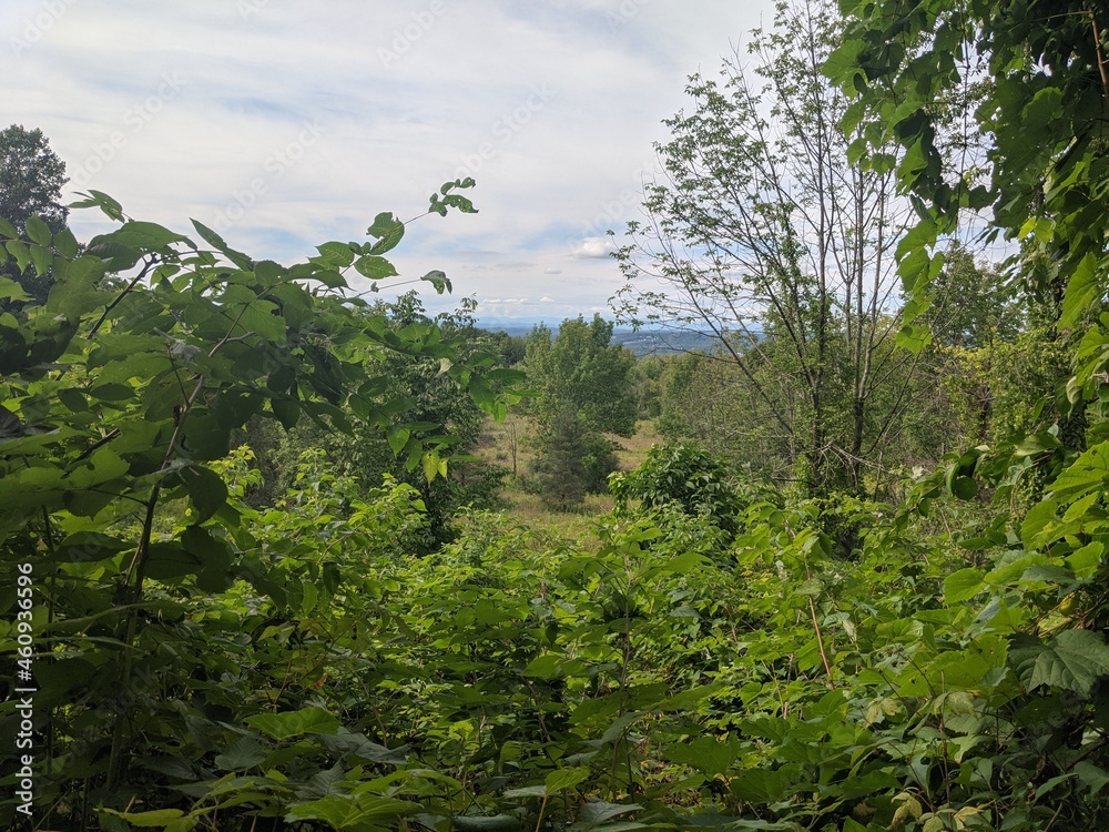 Fototapeta premium Appalachian Trail - Hudson Highlands, NY