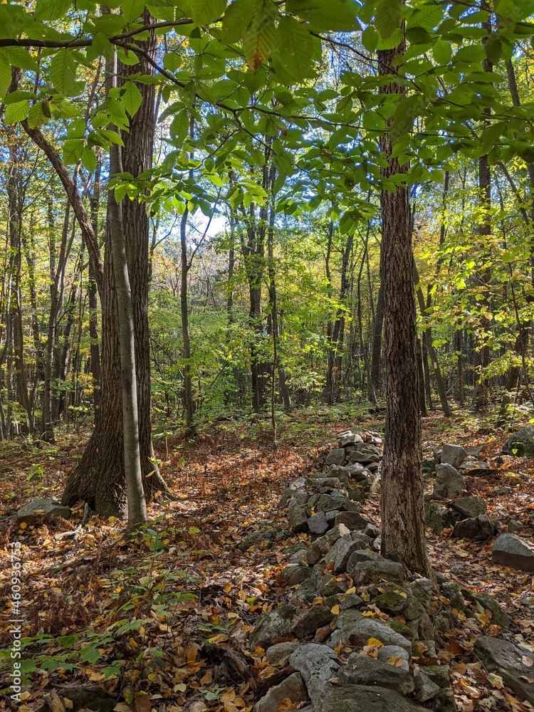 Fototapeta premium Appalachian Trail - Hudson Highlands, NY