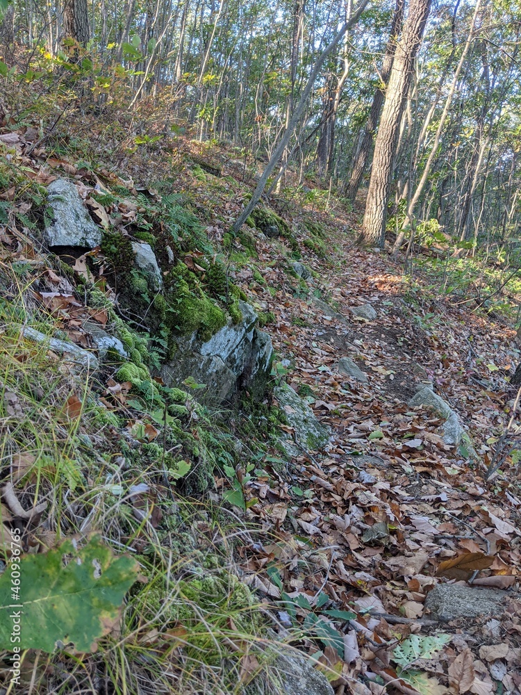 Appalachian Trail - Hudson Highlands, NY Appalachian Trail - Hudson Highlands, NY