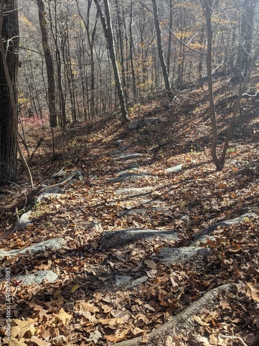 Appalachian Trail - Hudson Highlands, NY