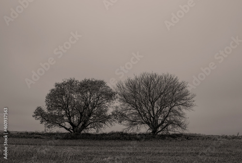 Wallpaper Mural North American Landscapes Torontodigital.ca