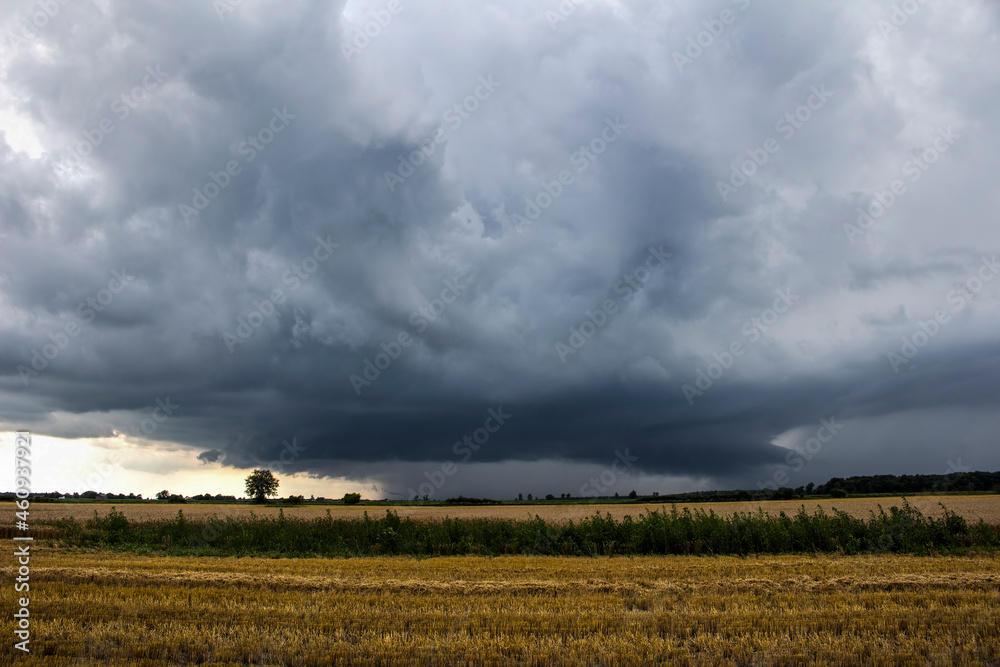 North American Landscapes