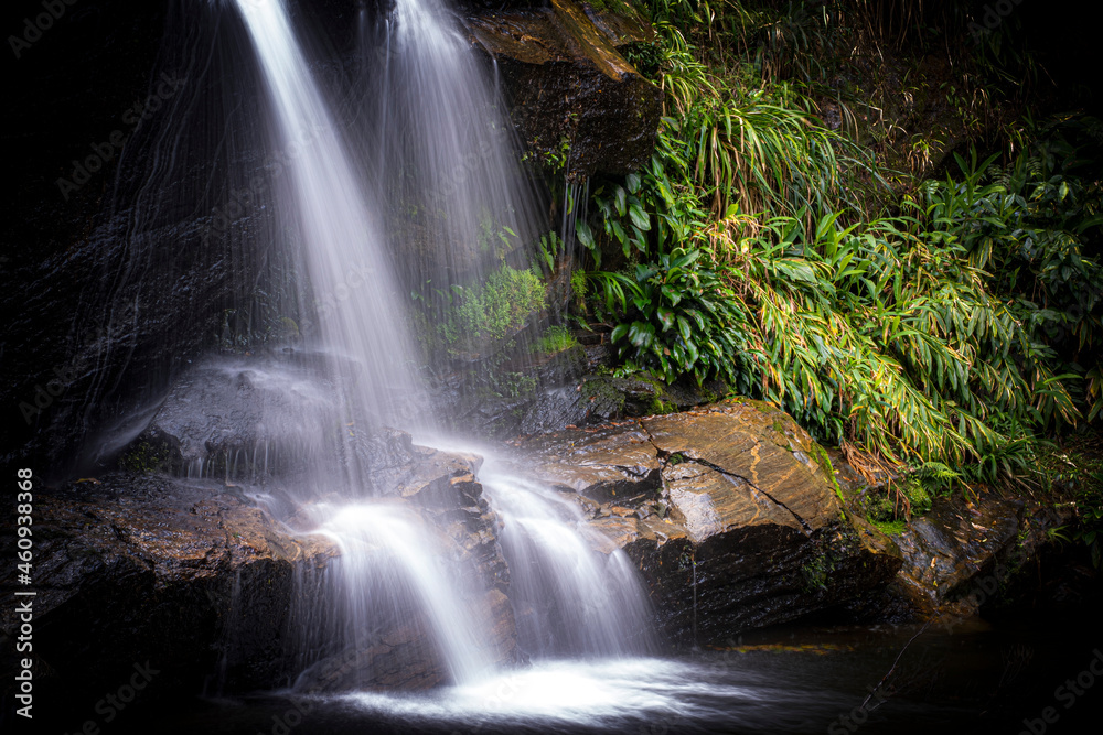 Obraz premium Tijuca National Park
