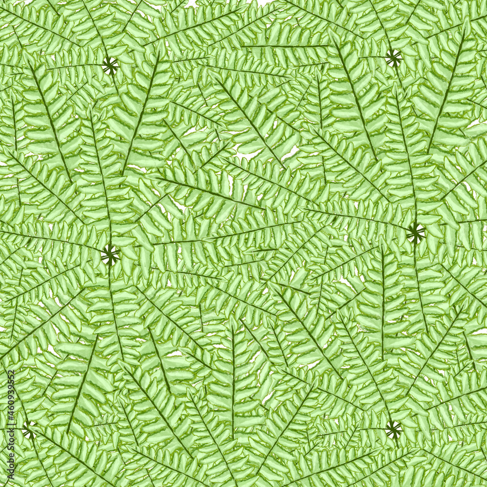 Obraz premium green fern watercolor paint fresh spring nature background