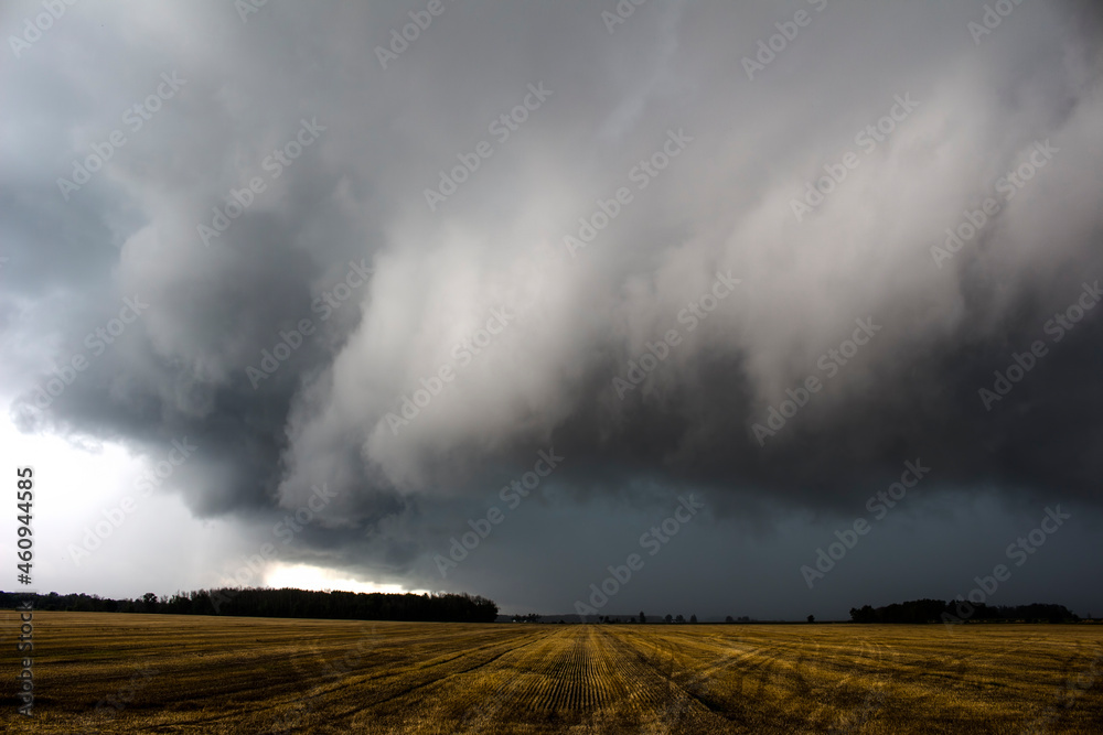 Supercell Storm