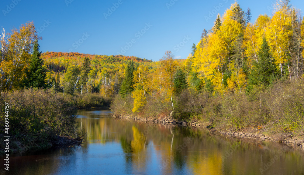 Fall colors in the Canadian forest with lake in the province of Quebec