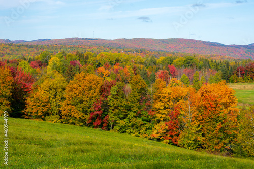 Fototapeta Naklejka Na Ścianę i Meble -  Fall colors in the Canadian forest in the province of Quebec