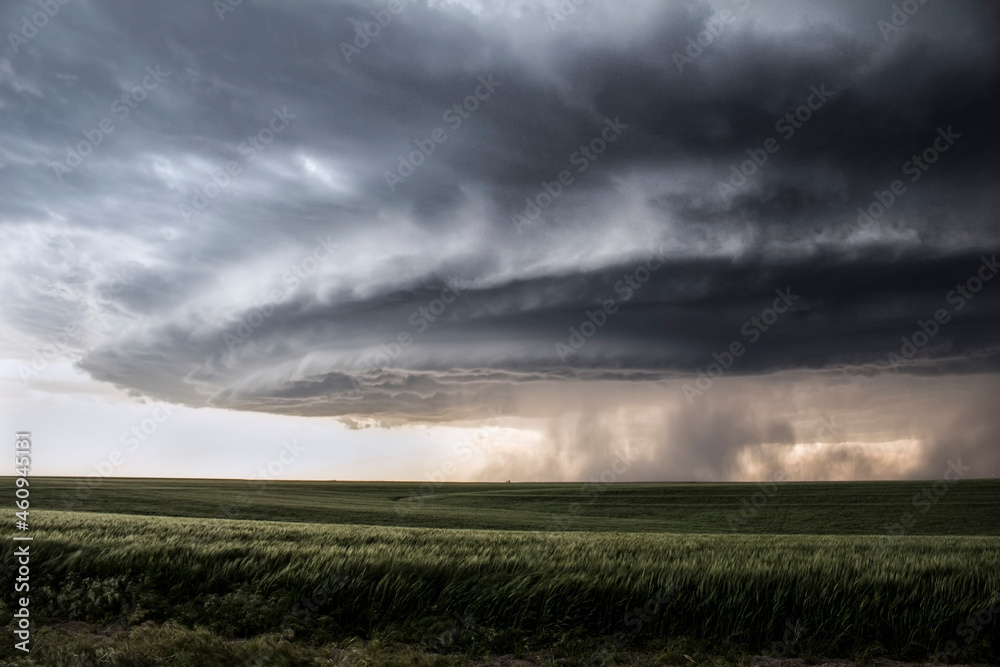 Supercell Storm