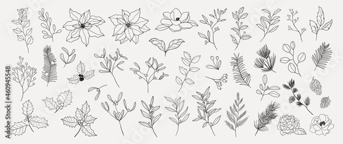 Minimal botanical hand drawing design for logo and wedding invitation. Spring and autumn Floral line art.  Flower and leaves design collection for bouquets decoration, card and packaging background.