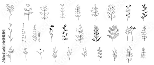 Minimal botanical hand drawing design for logo and wedding invitation. Spring and autumn Floral line art.  Flower and leaves design collection for bouquets decoration, card and packaging background.