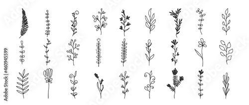 Minimal botanical hand drawing design for logo and wedding invitation. Spring and autumn Floral line art.  Flower and leaves design collection for bouquets decoration, card and packaging background.