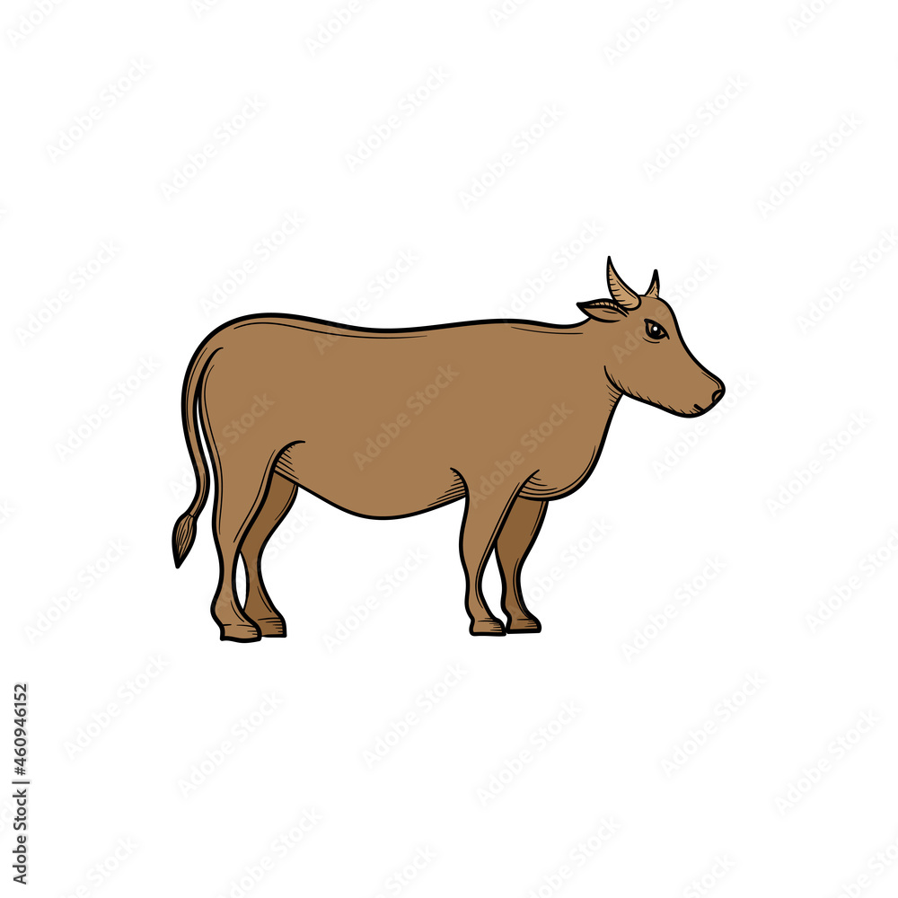 Fototapeta premium Cow hand drawn illustration sketch vector design
