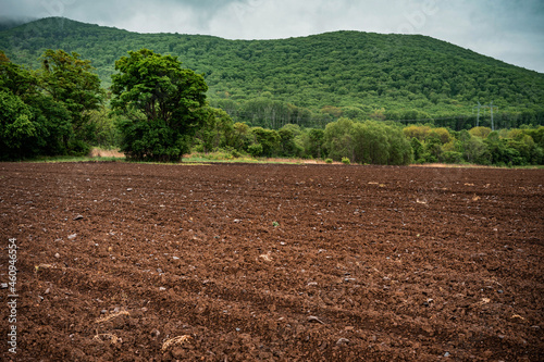 A plowed field for sowing vegetables. A field of black earth against the background of mountains. photo