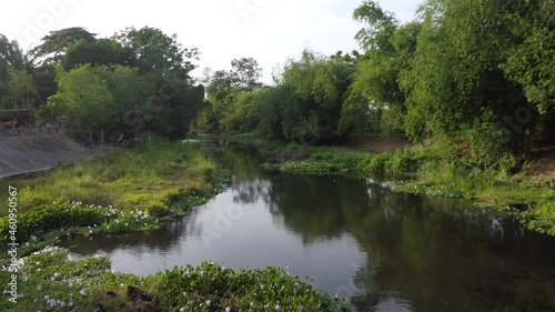 river in the woods drone shots