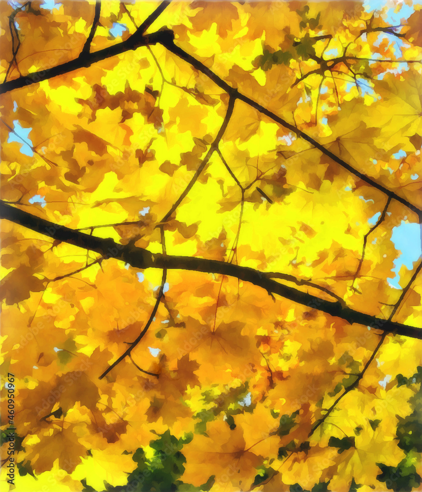 Under the autumn maple crown. Yellow maple leaves. Watercolour. Digital painting - illustration. Natural landscape.