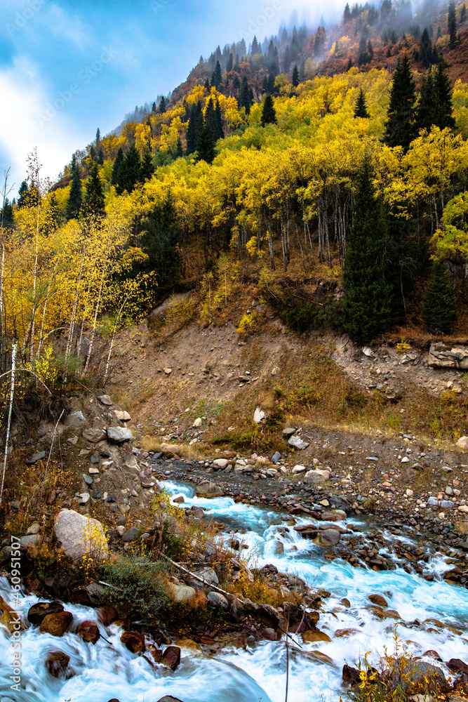 river in autumn forest river in autumn forest