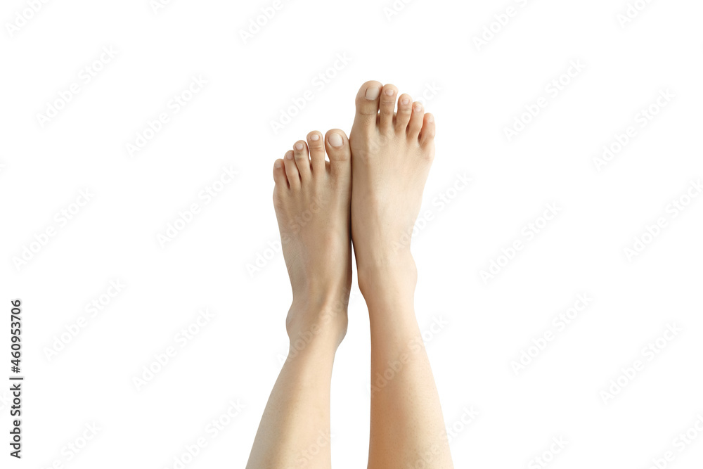 Beautiful female legs and feet on a white background. Beautiful female legs and feet on a white background.