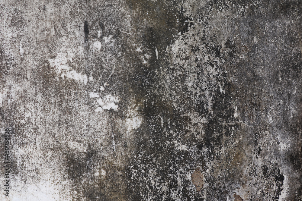Fototapeta premium Old wall background