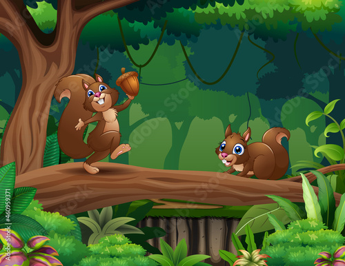 Cute squirrels cartoon on the tree