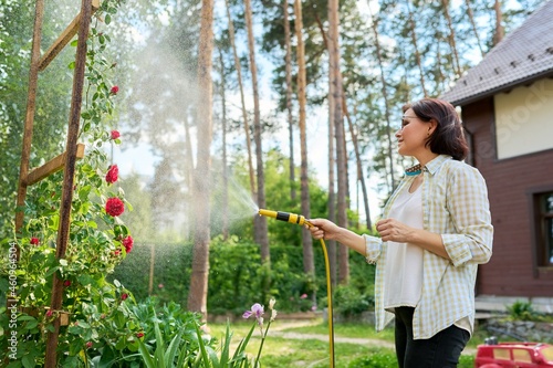 Middle-aged woman in the backyard watering rose bushes from the garden hose