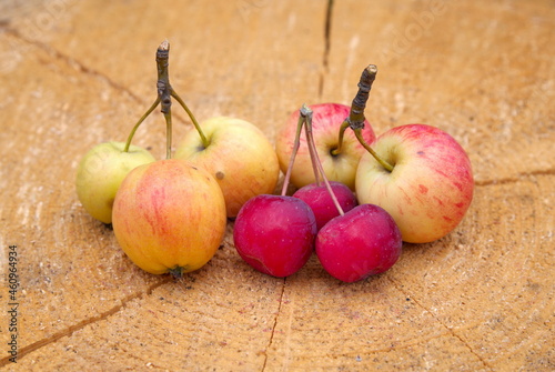 Ripe apples ranet of different varieties on a stump close-up photo