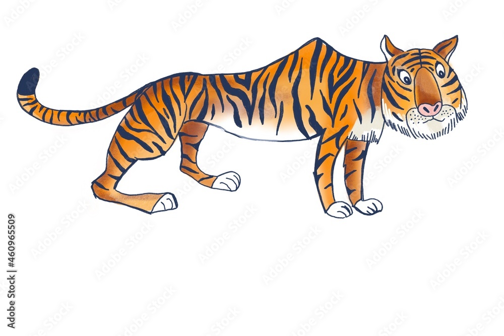 Cartoon tiger, illustration on a white background