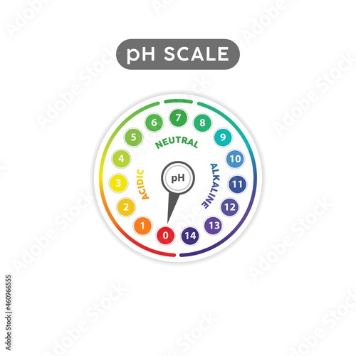 pH Scale Indicator Chart Diagram. pH analysis vector chemical scale value test. Acidic alkaline measure
