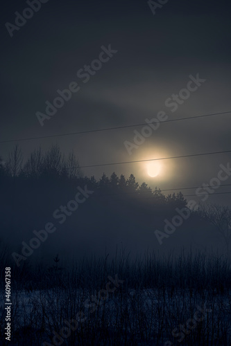 Spooky moon rising over a forest, Lithuania. Dark night sky, fog in the field, misty mood and winter aura. Selective focus on the details, blurred background.