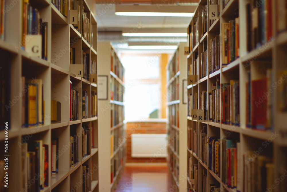 library shelves with books library shelves with books