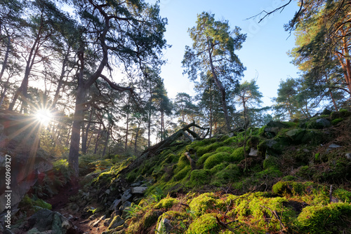 Cassepot rocks in Fontainebleau forest