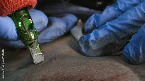 Close-up video of master making black tattoo on body